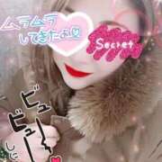 ヒメ日記 2026/02/26 15:16 投稿 ひすい 埼玉熊谷ちゃんこ