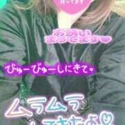 ヒメ日記 2026/03/05 23:06 投稿 ひすい 埼玉熊谷ちゃんこ