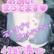 ヒメ日記 2026/03/22 10:26 投稿 ひすい 埼玉熊谷ちゃんこ