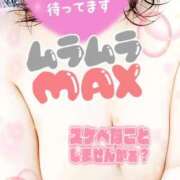 ヒメ日記 2026/03/22 14:46 投稿 ひすい 埼玉熊谷ちゃんこ