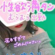 ヒメ日記 2026/04/07 10:53 投稿 ひすい 埼玉熊谷ちゃんこ