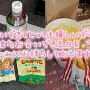 ヒメ日記 2026/04/07 17:36 投稿 ひすい 埼玉熊谷ちゃんこ