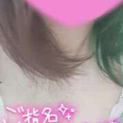 ヒメ日記 2026/04/22 17:06 投稿 ひすい 埼玉熊谷ちゃんこ