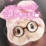 ヒメ日記 2026/04/30 16:16 投稿 ひすい 埼玉熊谷ちゃんこ