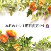 ヒメ日記 2026/02/14 11:40 投稿 しずく 玉乱☆痴（たまらんち）
