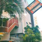 ヒメ日記 2026/02/14 14:05 投稿 しずく 玉乱☆痴（たまらんち）