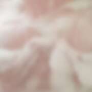 ヒメ日記 2026/02/17 11:10 投稿 しずく 玉乱☆痴（たまらんち）