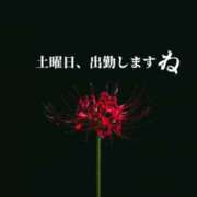 ヒメ日記 2026/02/28 14:50 投稿 しずく 玉乱☆痴（たまらんち）