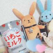 ヒメ日記 2026/03/02 17:46 投稿 かおる CUTE