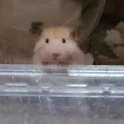 ヒメ日記 2025/12/24 13:21 投稿 りか 夜這専門発情する奥様たち 谷九店