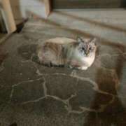 りか 静かに待ってます🫧‪ 夜這専門発情する奥様たち 谷九店