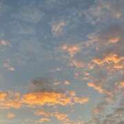 ヒメ日記 2025/12/19 11:33 投稿 れん モアグループ大宮人妻花壇