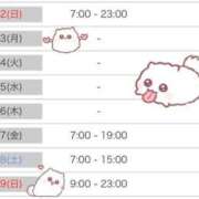 ヒメ日記 2026/03/21 09:46 投稿 みつき CUTE