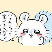 ヒメ日記 2026/05/16 00:16 投稿 みつき CUTE