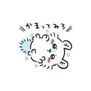 ヒメ日記 2026/09/08 07:46 投稿 みつき CUTE