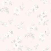 ヒメ日記 2026/02/15 11:46 投稿 みさき CUTE