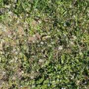 ヒメ日記 2026/03/16 07:16 投稿 みあ CUTE