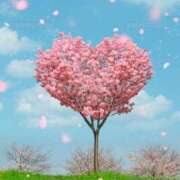 ヒメ日記 2026/02/27 12:01 投稿 山中かなえ MADAM