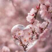 ヒメ日記 2026/03/30 01:01 投稿 山中かなえ MADAM