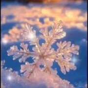 ヒメ日記 2025/12/25 09:46 投稿 倉沢いずみ MADAM