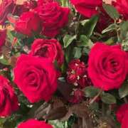 ヒメ日記 2025/12/28 12:31 投稿 倉沢いずみ MADAM