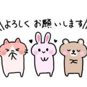 りんか 今夜も✩⡱ 石庭