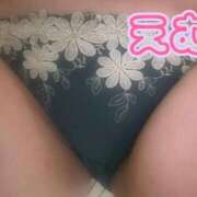 ヒメ日記 2026/02/25 11:27 投稿 えむ ぽっちゃり素人専門店 愛されぽっちゃり倶楽部 古川店