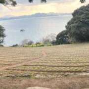 ヒメ日記 2026/04/04 19:13 投稿 せいな FAIRY Fukuoka Nakasu