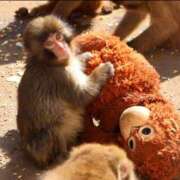 ヒメ日記 2026/02/18 12:00 投稿 はる 和歌山人妻援護会