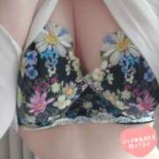 ヒメ日記 2026/03/07 11:15 投稿 はる 和歌山人妻援護会