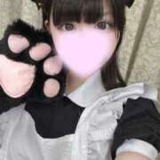 ヒメ日記 2026/03/13 18:59 投稿 すい キミの乳首が好き！！五反田店