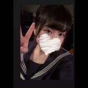 ヒメ日記 2026/03/17 09:33 投稿 すずは ハピネス札幌