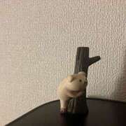 ヒメ日記 2026/04/16 04:43 投稿 杏樹(あんじゅ) 出張メンズエステ TORICO SPA 高知店