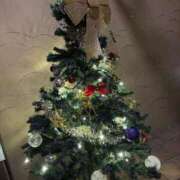 ヒメ日記 2025/12/24 08:45 投稿 楓(かえで) 出張メンズエステ TORICO SPA 高知店