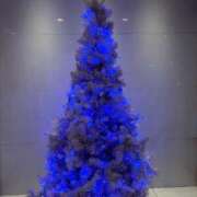 ヒメ日記 2025/12/30 03:21 投稿 楓(かえで) 出張メンズエステ TORICO SPA 高知店