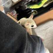 ヒメ日記 2026/01/19 16:25 投稿 楓(かえで) 出張メンズエステ TORICO SPA 高知店