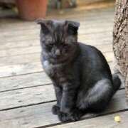 ヒメ日記 2026/02/02 22:48 投稿 楓(かえで) 出張メンズエステ TORICO SPA 高知店