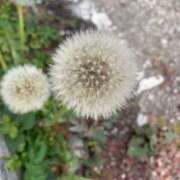 ヒメ日記 2026/02/21 01:51 投稿 楓(かえで) 出張メンズエステ TORICO SPA 高知店