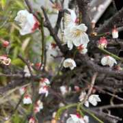 ヒメ日記 2026/02/25 16:57 投稿 楓(かえで) 出張メンズエステ TORICO SPA 高知店