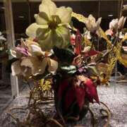 ヒメ日記 2026/02/28 12:13 投稿 楓(かえで) 出張メンズエステ TORICO SPA 高知店