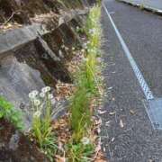 ヒメ日記 2026/03/03 15:28 投稿 楓(かえで) 出張メンズエステ TORICO SPA 高知店