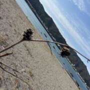 ヒメ日記 2026/03/10 19:05 投稿 楓(かえで) 出張メンズエステ TORICO SPA 高知店