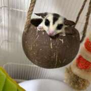 ヒメ日記 2026/03/27 20:28 投稿 楓(かえで) 出張メンズエステ TORICO SPA 高知店