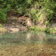 ヒメ日記 2026/03/30 15:55 投稿 楓(かえで) 出張メンズエステ TORICO SPA 高知店