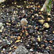 ヒメ日記 2026/04/09 22:36 投稿 楓(かえで) 出張メンズエステ TORICO SPA 高知店