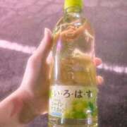 ヒメ日記 2026/04/20 21:50 投稿 楓(かえで) 出張メンズエステ TORICO SPA 高知店