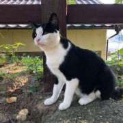 ヒメ日記 2026/04/20 23:46 投稿 楓(かえで) 出張メンズエステ TORICO SPA 高知店