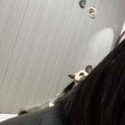 ヒメ日記 2026/05/01 23:37 投稿 楓(かえで) 出張メンズエステ TORICO SPA 高知店
