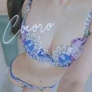 ヒメ日記 2026/05/27 16:00 投稿 心(こころ) 出張メンズエステ TORICO SPA 高知店