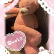 ヒメ日記 2026/02/15 08:43 投稿 るい♡ご奉仕天使の蜜舌悪魔ちゃん 富山インターちゃんこ